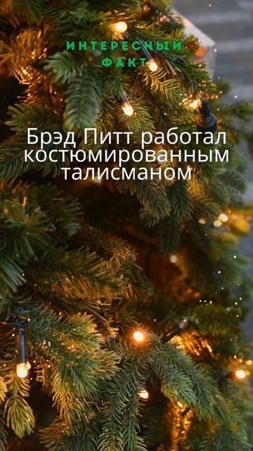 Интересный факт о Брэде Питте смотреть онлайн