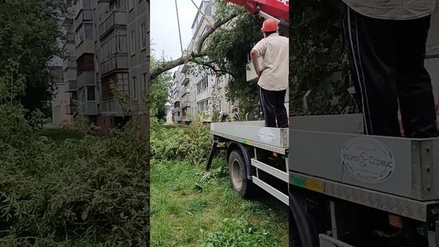 погода завалила дерево на дом пострадал этаж смотреть онлайн