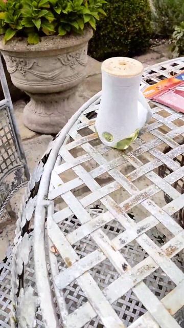 Glade electric scented oil - Pumpkin Spice latte / Электродиффузор Глейд Тык смотреть онлайн