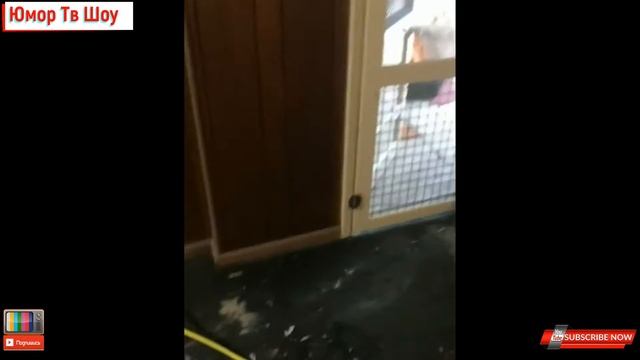 Плохой день посмотри это видео BAD DAY Better Watch This смотреть онлайн