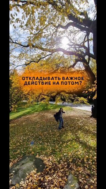 #бизнес #предприниматель  #женщина #игр #эмоциональный?