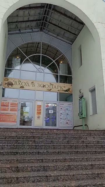 Зоопарк Питер смотреть онлайн