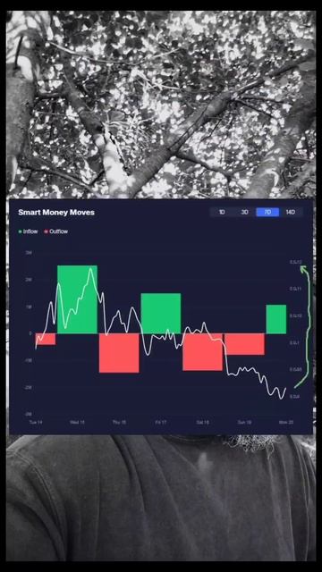 МОНЕТА дня🔝✨ #Topcoins    по настроению Crypto рынка 📊
