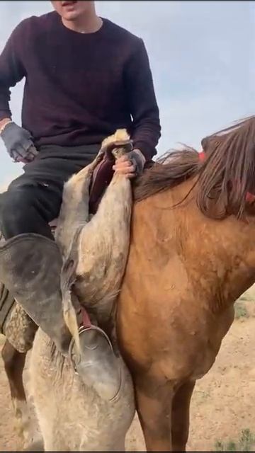 Сколько весит 🤔 смотреть онлайн