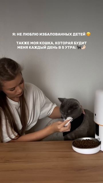 ✨ арт. OZON 1593368390 СКИДКА в описании смотреть онлайн