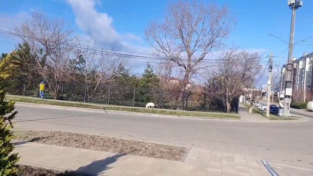 #648.Нас 2000.Спасибо Всем.Погода порадовала сегодня. смотреть онлайн