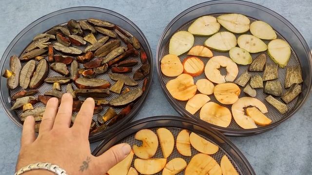 Развитие и перспективы