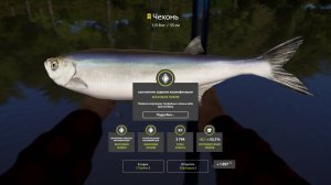 ТРОФЕЙ ЧЕХОНЬ СЕВЕРСКИЙ ДОНЕЦ - РУССКАЯ РЫБАЛКА 4