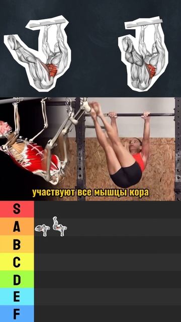 ТИР ЛИСТ ПРЕСС / Лучшие и Худшие упражнения Часть 6 #shorts смотреть онлайн