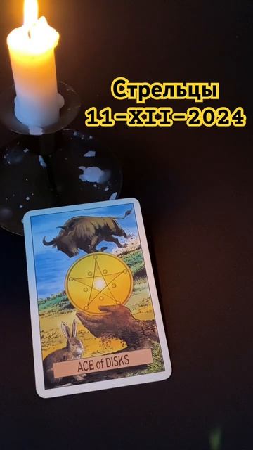 Стрелец 11 декабря 2024 г. смотреть онлайн