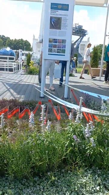 ВДНХ. Фестиваль цветов.8 смотреть онлайн