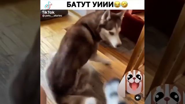 батут смотреть онлайн