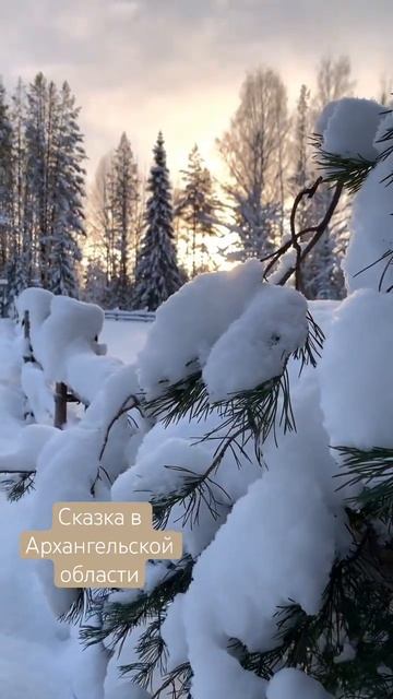 Настоящая зима в Архангельской области #travelstory смотреть онлайн