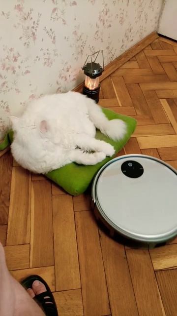 робот пылесос трудяга и кот Мартин смотреть онлайн