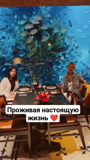 Проживая настоящую жизнь #клубдыхания #клубдышисмари смотреть онлайн