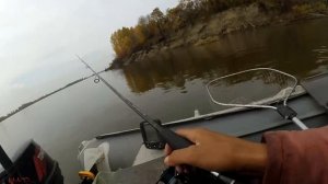 ПОДСААААК! ЭТО НЕ КОРЯГА А РЫБА! Рыбалка в корягах