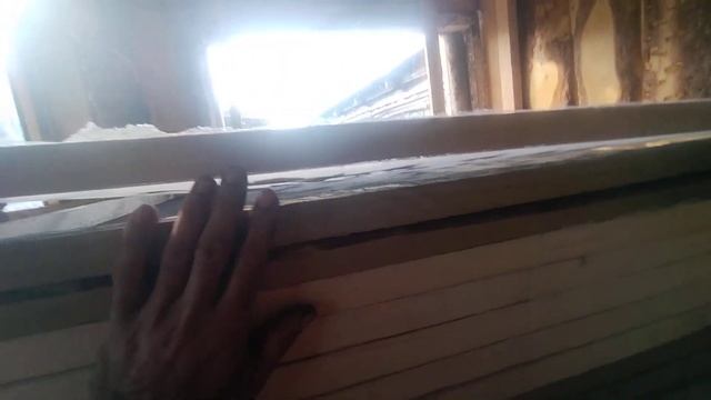 полуавтоматическая сушилка для грибов смотреть онлайн