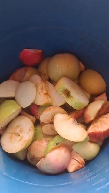 Соковыжималка Росинка из 90х смотреть онлайн