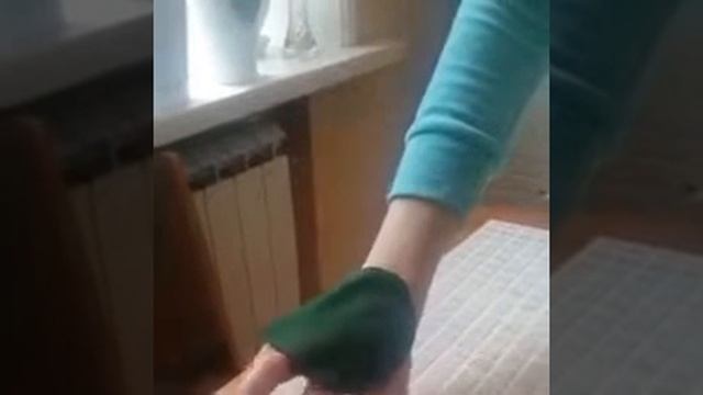 Есть собака? Скидываем ваше совместное фото смотреть онлайн