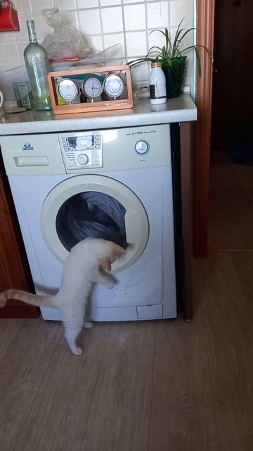 Ну так хочется открыть и посмотреть внутрь, узнать, чт? смотреть онлайн