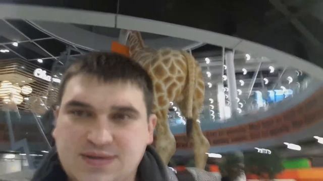 Не знаем языка, заблудились смотреть онлайн