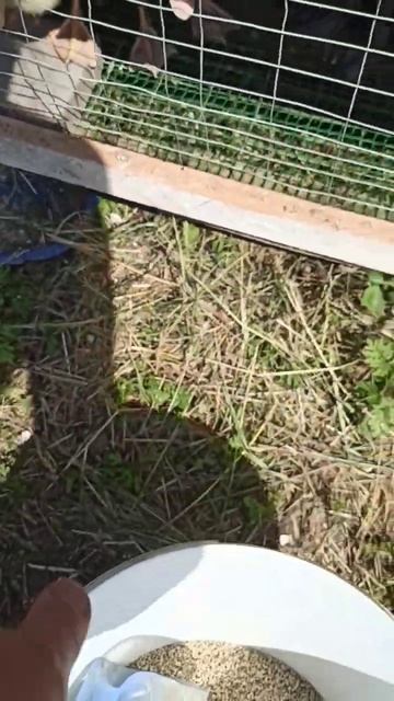 15 литров воды не хватило 🙄💦 смотреть онлайн