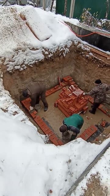 лед тронулся  винный погреб мечты
