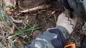 Незапланированный выход. Лесной коп с Эквинокс 900 #equinox