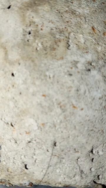 Стирка стиральной машины Samsung WF-R862 из внутри смотреть онлайн