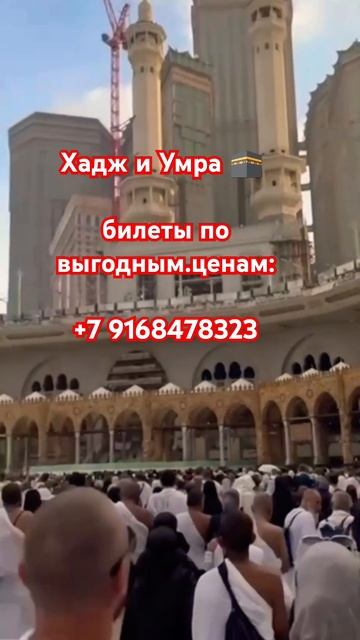 Борец против Пророка Мухаммада да благословит его Алл