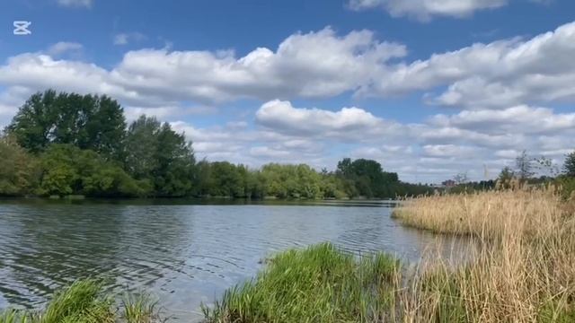 ПРИРОДА НАДЕЖДА КАДЫШЕВА ШИРОКА РЕКА смотреть онлайн