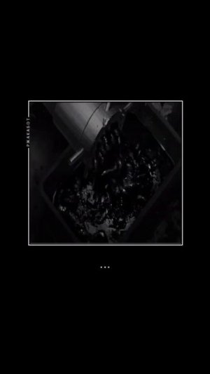 #катя #винди31 #винди #мясорубка #фарш #зайчик #рек