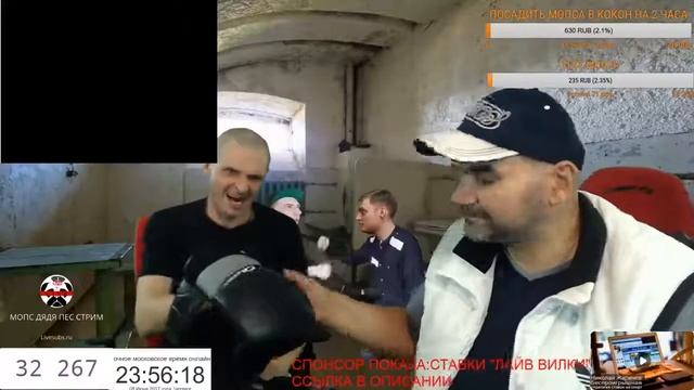 МОПС И СЫКЛИВЫЙ ДРОЧУН В ВИДЕОЧАТЕ МОПС И АНДРЮХА ЛОВЯТ ПРИКОЛ В ЧАТРУЛЕТКЕ смотреть онлайн