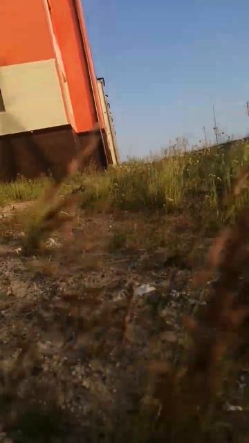 Цветут поляны трав и цветов в Коротчаево Новый Уренго? смотреть онлайн