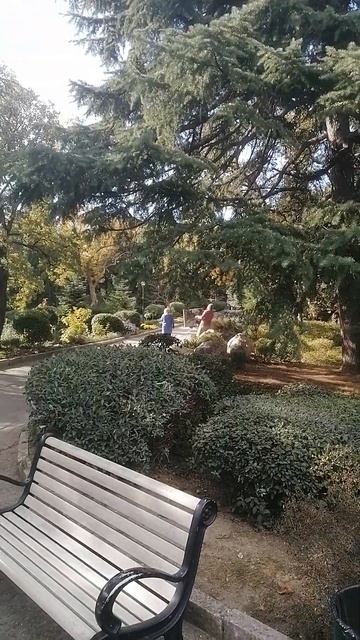 Вид в парке 5. Художник. #крым #природа смотреть онлайн