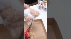 Фурстики. Двухцветная собачка