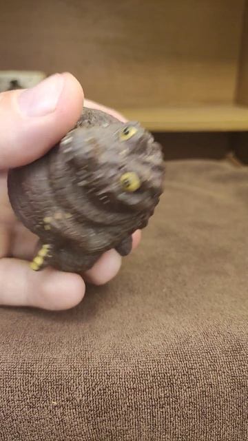 Чайный дух крокодильчик.Хорошо детализирован. смотреть онлайн