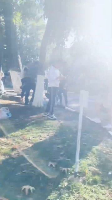 Болельщики Бешикташа бухают в парке перед футболом с ? смотреть онлайн