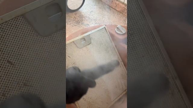 Пароочиститель CLEAN TECH - PREMIUM. Как пользоваться пароочис