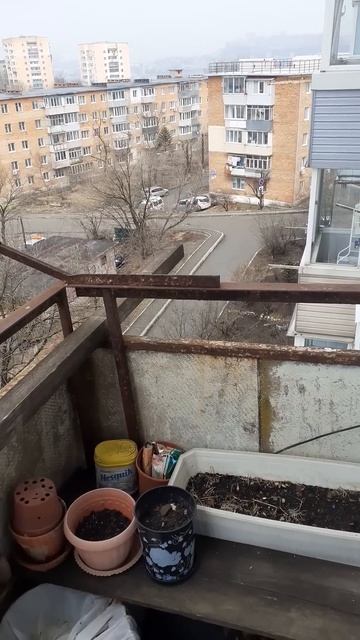 Погода сегодня хорошая😁😁😆💅💅❤❤❤15.04.2025. смотреть онлайн