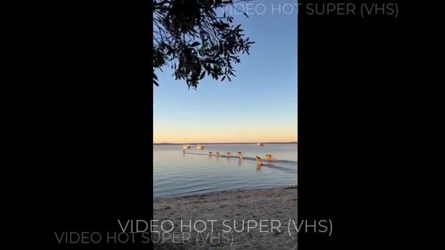 Где-то в Австралии