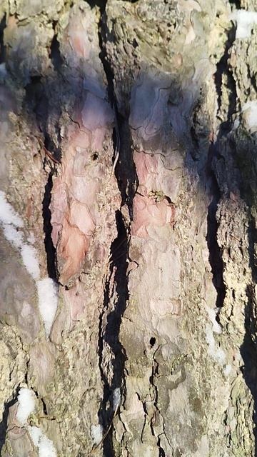 Баня #смоленск #video #баня #shorts #short смотреть онлайн