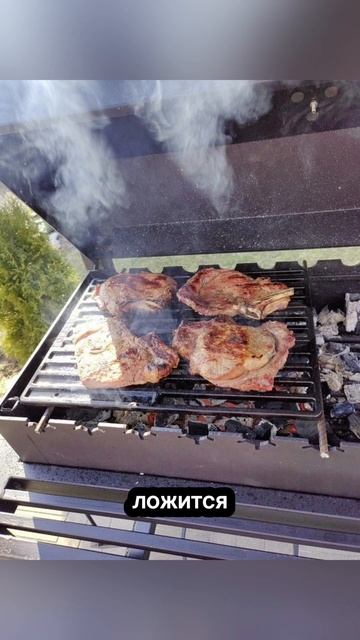 Мангал-барбекю "Лофт Ц1Б" с печкой и дровницей по т.84957644 смотреть онлайн