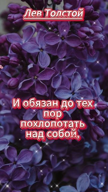 #shorts Человек обязан быть счастлив смотреть онлайн
