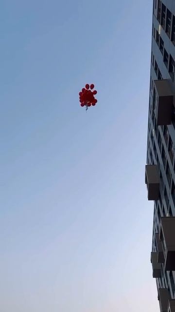 Лох это судьба????? смотреть онлайн