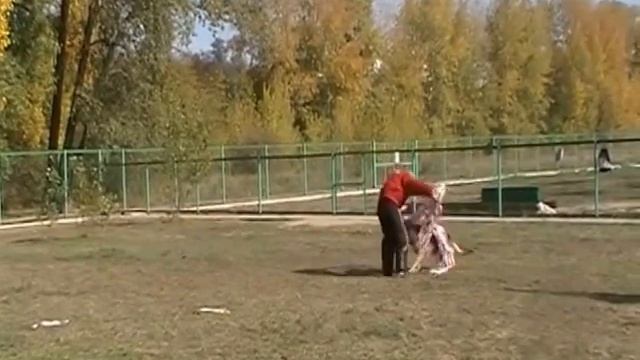 подготовка БРР 20.09.15 Гербер смотреть онлайн