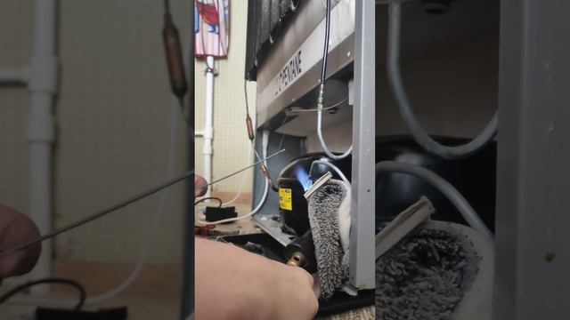 Холодильник Hotpoint-ariston 5 лет, заклинил компрессор #ставр смотреть онлайн