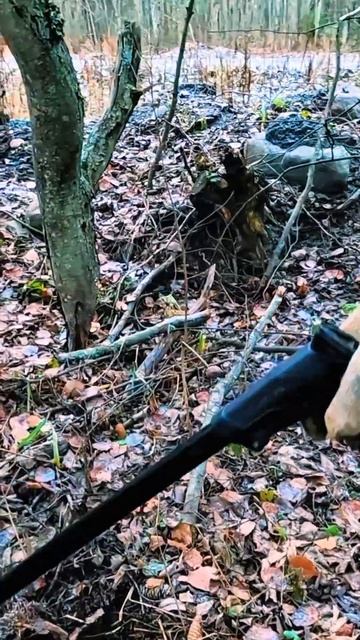 Повезло! #металлоискатель #находка #копметаллолома смотреть онлайн