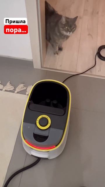 😍Распаковываю пароочиститель Karcher 😍Так выглядит ст? смотреть онлайн