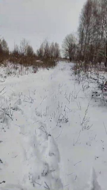 Нашёл траки на китайский металлоискатель